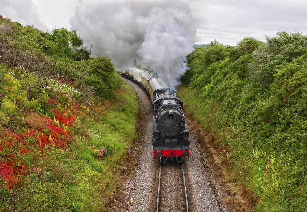 Dampfbahn Dartmouth