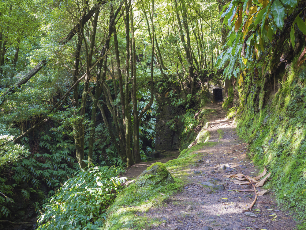 Wanderweg auf den Azoren