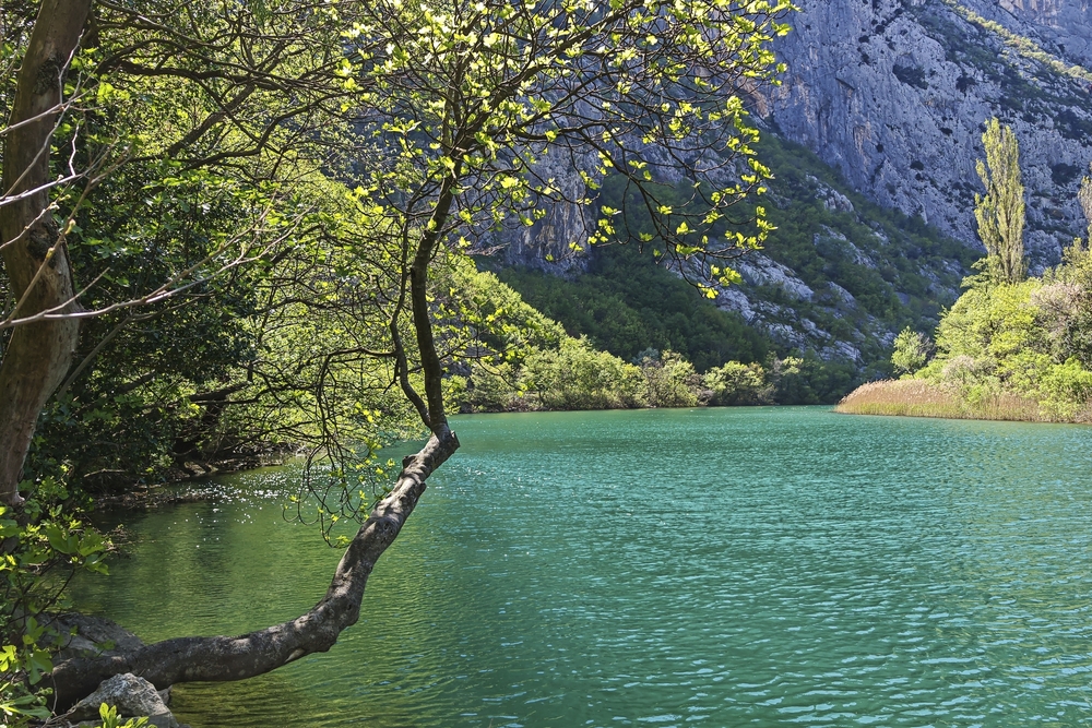 Blick auf das türkise Wasser der Cetina