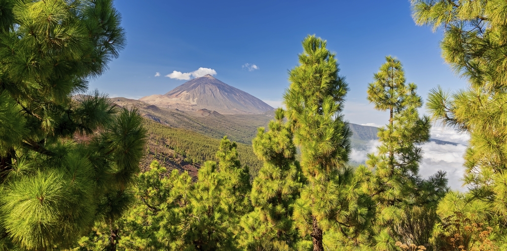 Teide Teneriffa