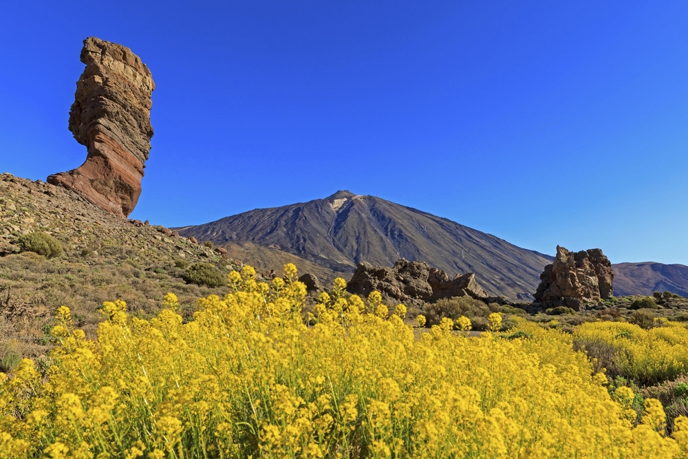 Los Roques de Garcia, Teide Nationalpark, Teneriffa