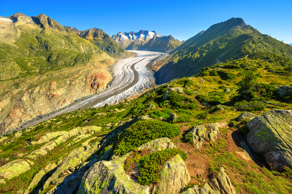 Der Große Aletschgletscher, der größte Gletscher der Alpen und UNESCO-Weltkulturerbe, vom Aussichtspunkt Moosfluh im Kanton Wallis, Schweiz