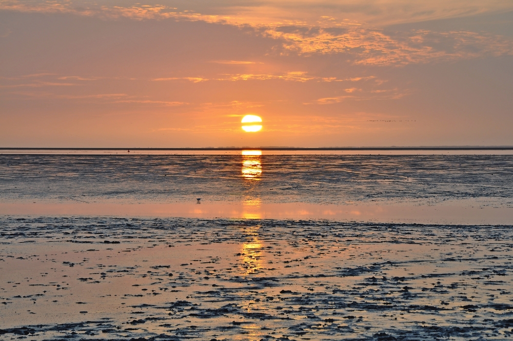 Weltkulturerbe Wattenmeer Nordsee
