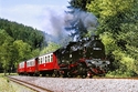 Harz-Erlebnis für Alleinreisende / NOZ MT